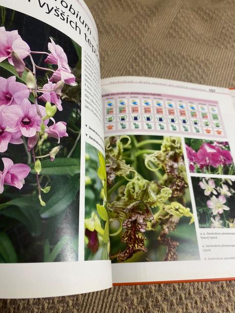 Kouzelné orchideje nejkrásnější druhy a hybridy, 