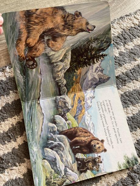 Veselé šteniatka a medvedík na prechádzke, 