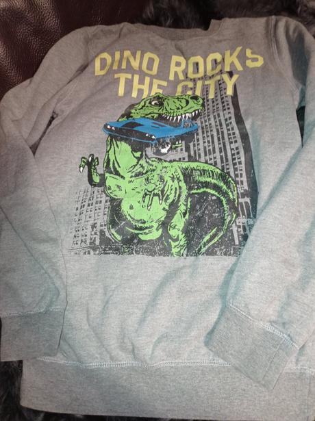 Mikina s dinom, chapter young,158