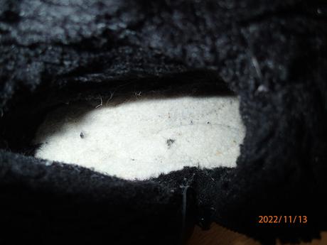 Zimne čižmičky daichman, graceland,31