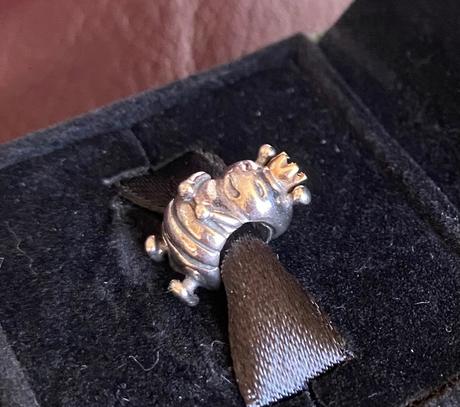 Pandora bicolor včielka, pandora