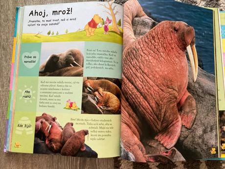 Moja prvá encyklopédia zvieratá, 