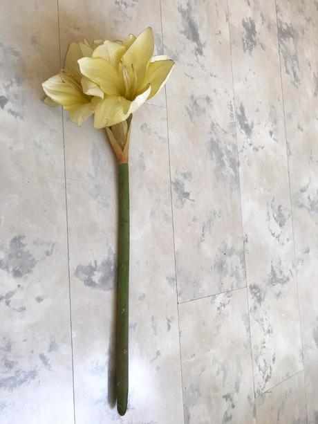 Umelý kvet klívia, 