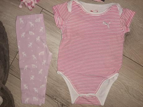 Lodger nosič, lodger