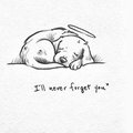 slug