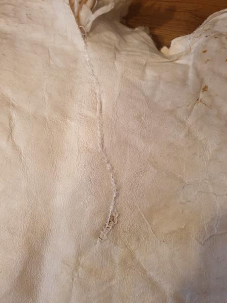 Je toto šitie na ovčom rúne čerstvé alebo staršie ? 