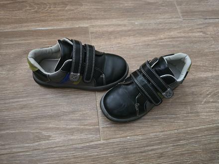 Poltopánky č.31, lasocki,31