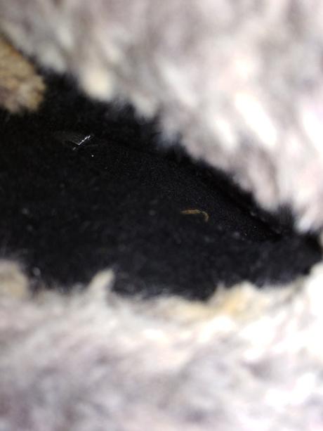 Čižmičky primigi gore tex koža, primigi,24