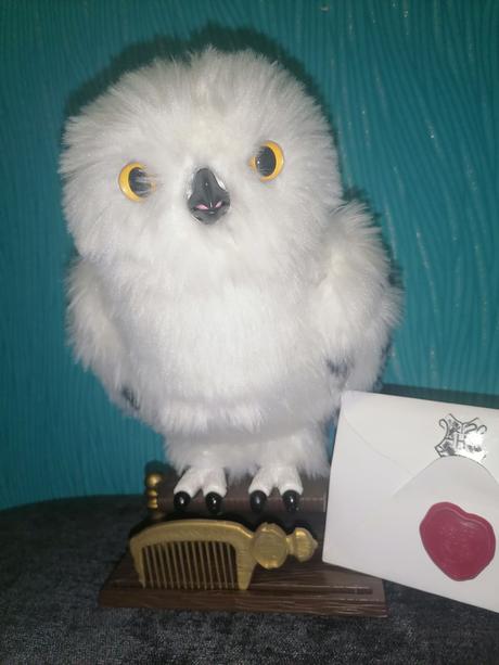 Sova hedviga z harry potter,