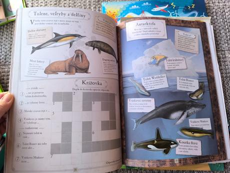 Knihy aktivít, vzdelávanie,