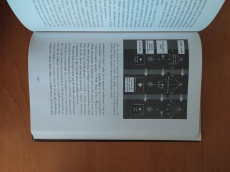 Veľký tresk - po stopách života vo vesmíre,