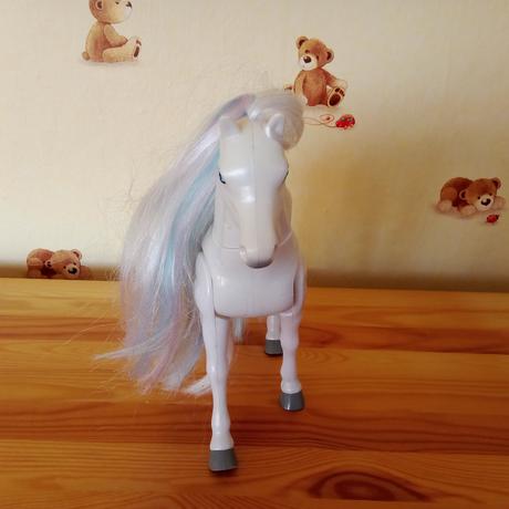 Pohybujúci sa koník,