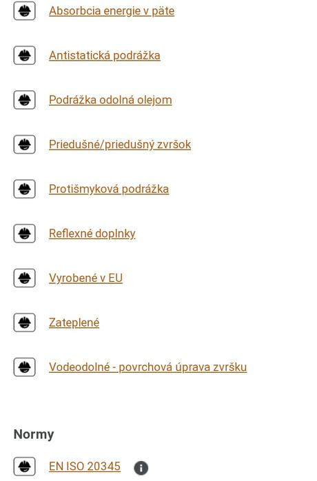 Pracovná obuv, 39, 39