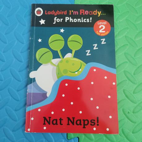 Phonics nat naps, 