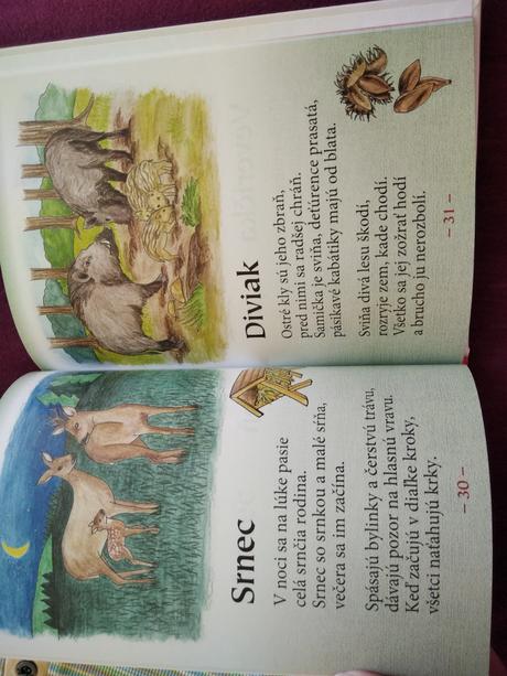 Kamaráti zvieratká, 