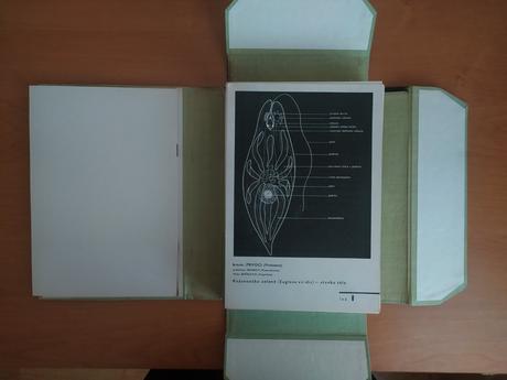 Biologický náčrtník, 