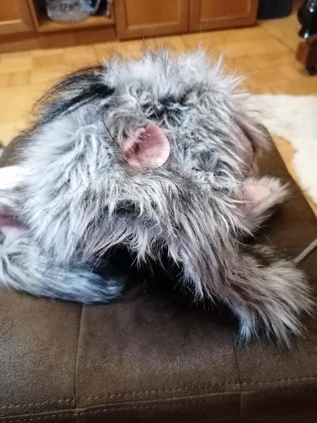 Kožušinová čiapka, 