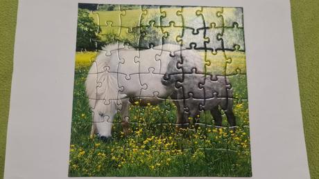 Puzzle zvieratká 3 x 55 ks, 