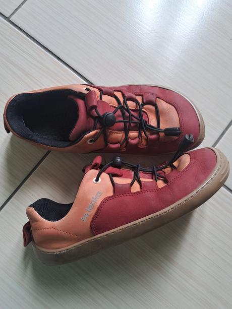 Be lenka xplorer, be lenka,33