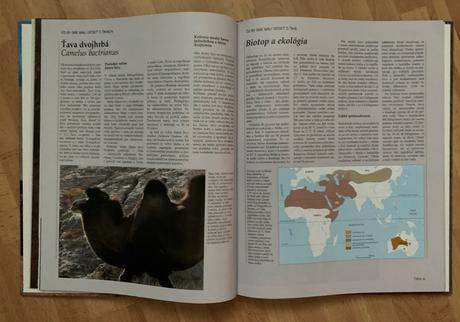 Larousse - púšte a polopúšte, 