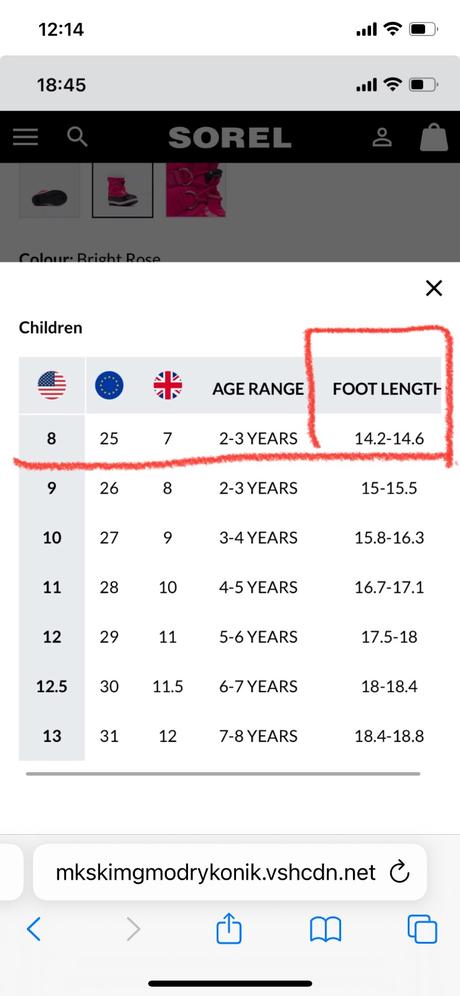 Snehule sorel, sorel,25