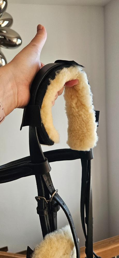 Barančeky, podbrušník kentaur, jazdecké nohavice, 