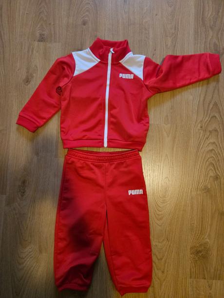 Puma súprava, puma,86