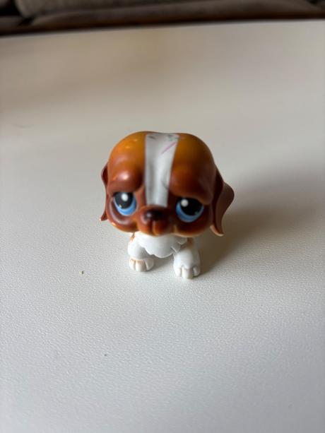 Petshop, 