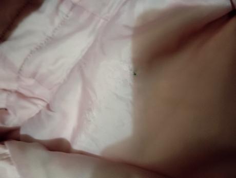 Varovana vetrovka, benetton,146