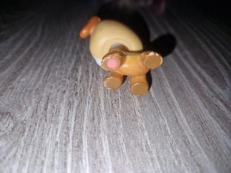Littlest pet shop boxer, 