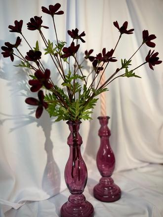 Purpurové svietniky, 