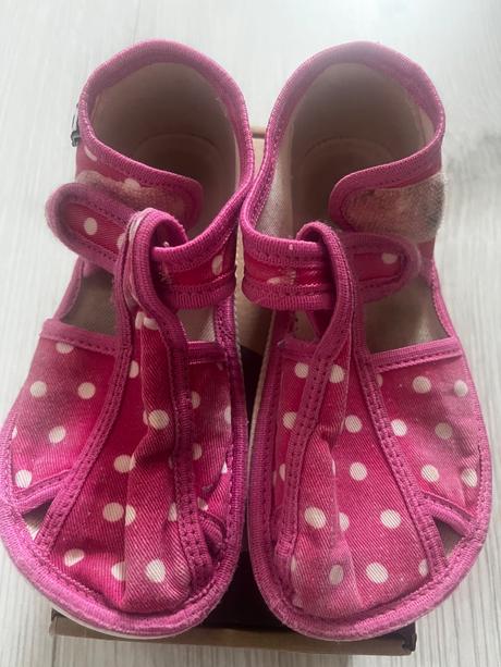 Rak papučky, rak,26