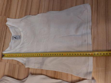 Tielka, palomino,122