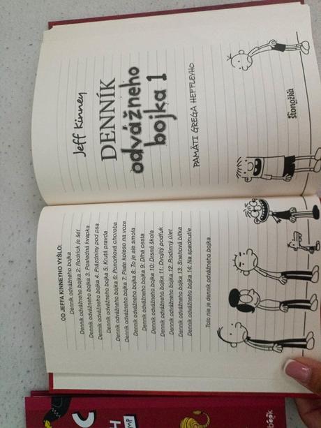 Knižka denník odvážneho bojka, 