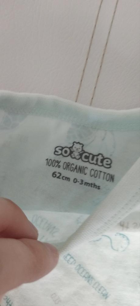 Opaľovačky organická bavlna, pepco,62