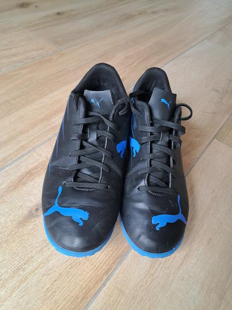 Halovky, puma,41