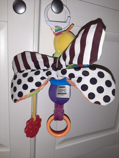 Motýľ tommy lamaze, 