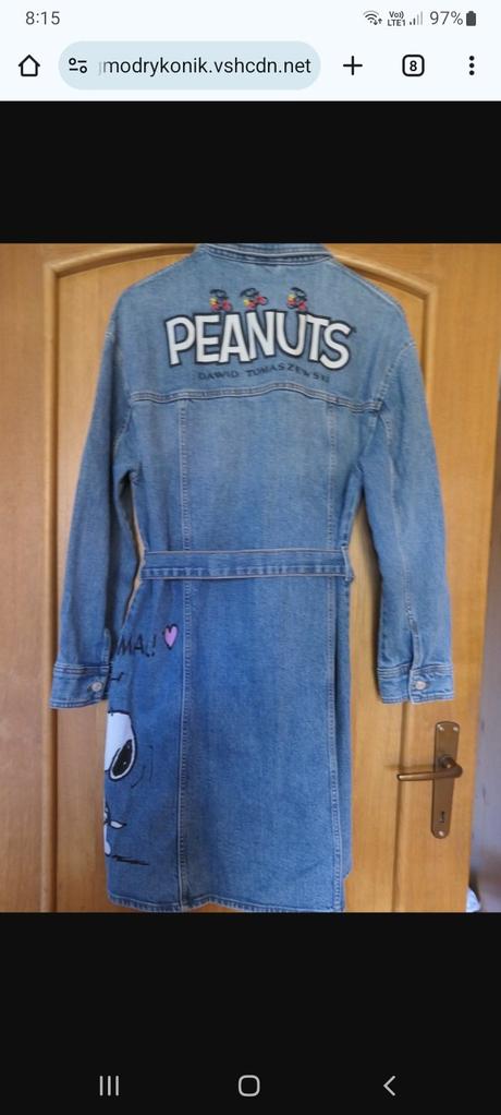 Neskutocny kabatik, m