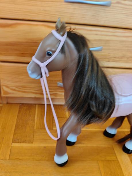 Konik,