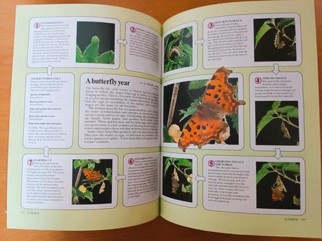 The book of the year, 