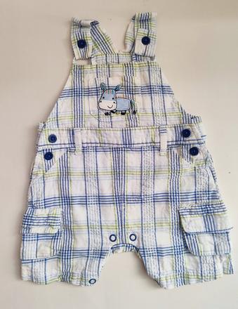 Šortky na traky, st. bernard,62