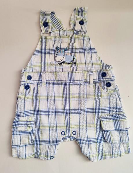 Šortky na traky, st. bernard,62