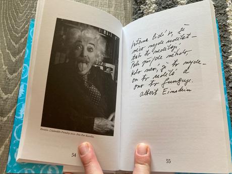 Květa fialová zákony štěstí,