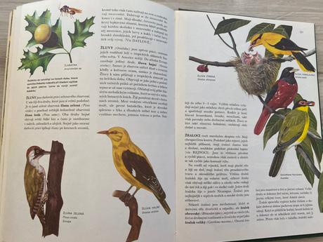 Veľká stará retro kniha od agami po žraloka,