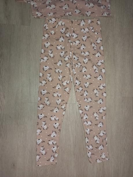 Koníková súprava, 134