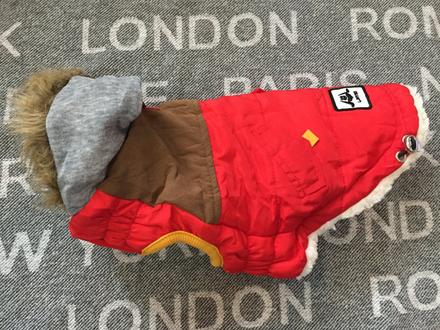 Bunda pre mensieho psa, 