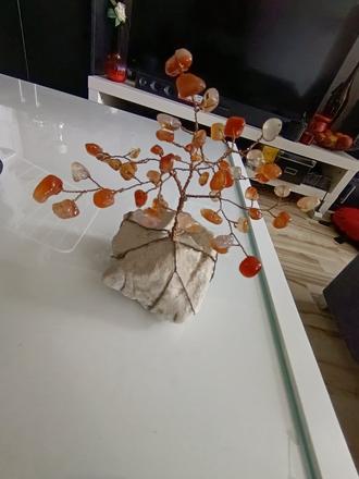 Stromček šťastia, 