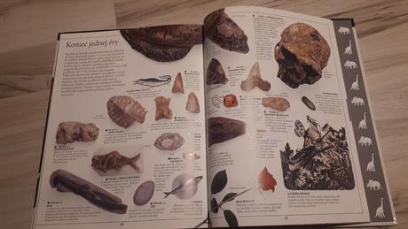 Krásna kniha dinosaury david norman, 