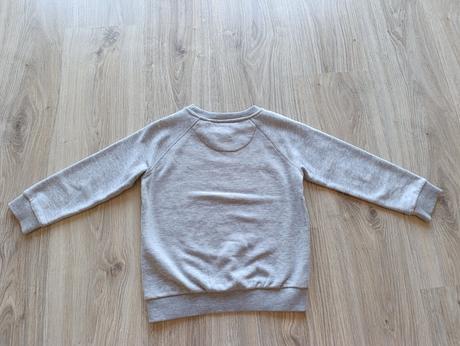 Chlapčenská sivá mikina s dinosaurom, f&f,116