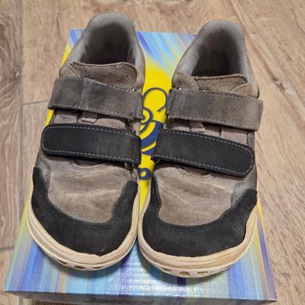 Jonap prechodné, jonap,31